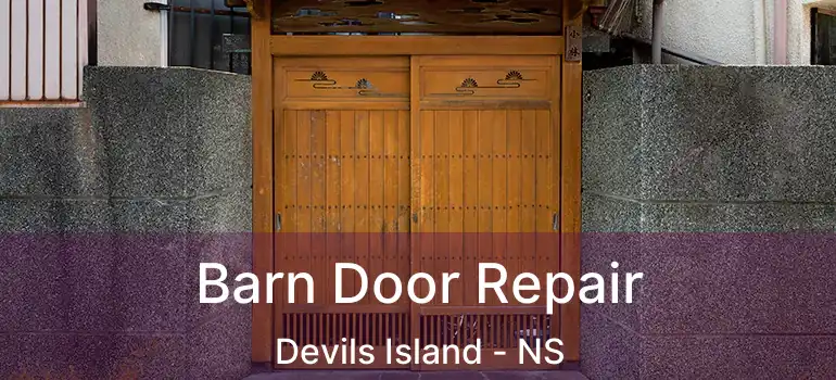  Barn Door Repair Devils Island - NS