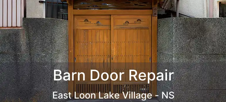  Barn Door Repair East Loon Lake Village - NS