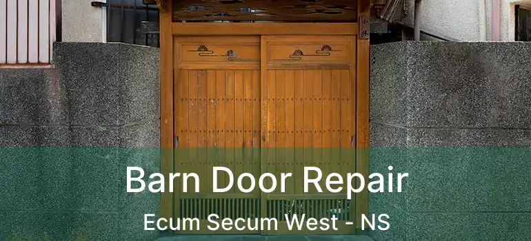  Barn Door Repair Ecum Secum West - NS