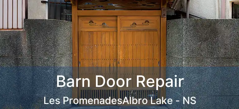  Barn Door Repair Les PromenadesAlbro Lake - NS