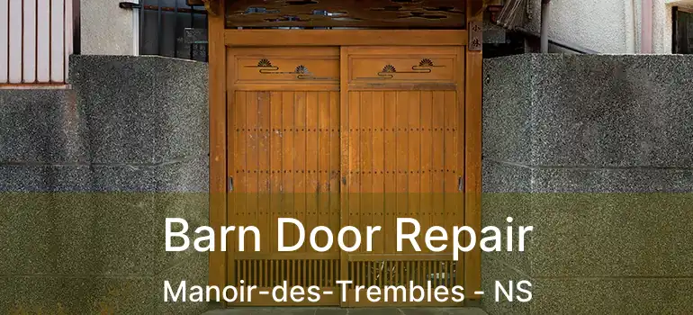  Barn Door Repair Manoir-des-Trembles - NS