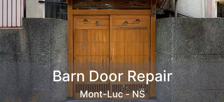  Barn Door Repair Mont-Luc - NS