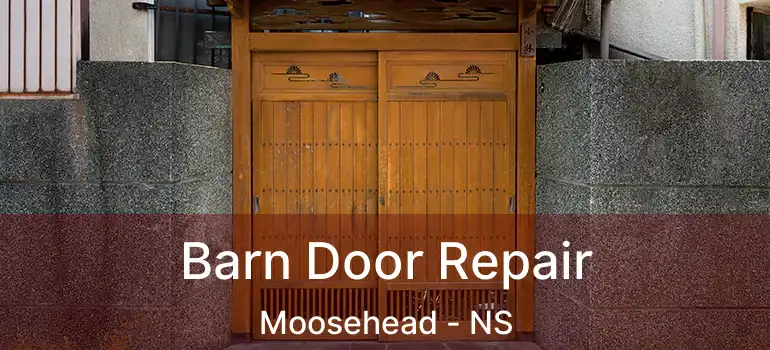  Barn Door Repair Moosehead - NS