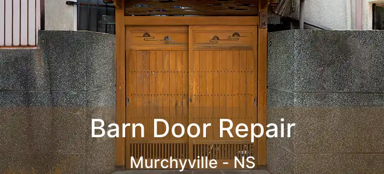  Barn Door Repair Murchyville - NS