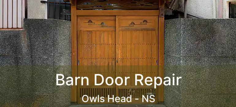  Barn Door Repair Owls Head - NS