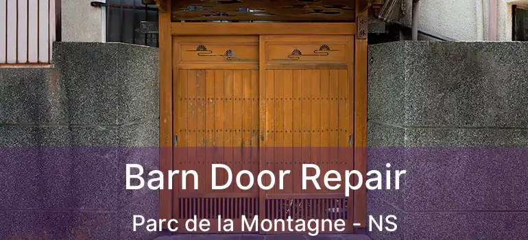  Barn Door Repair Parc de la Montagne - NS