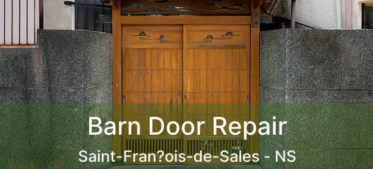  Barn Door Repair Saint-Fran?ois-de-Sales - NS