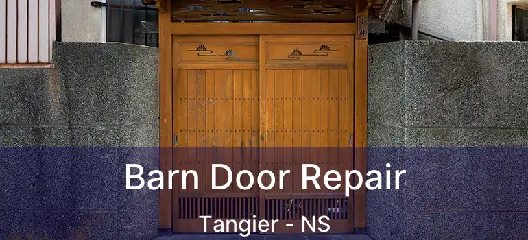  Barn Door Repair Tangier - NS