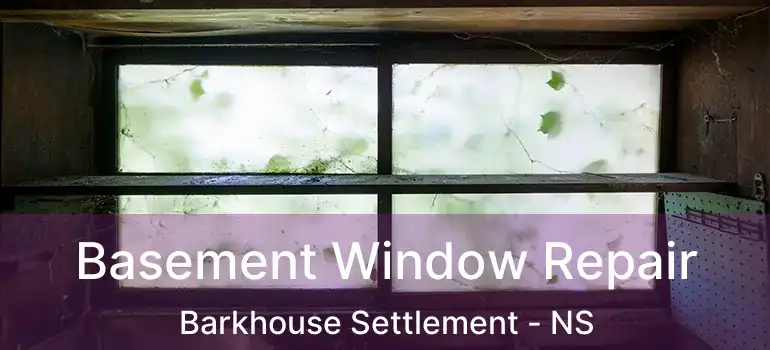  Basement Window Repair Barkhouse Settlement - NS