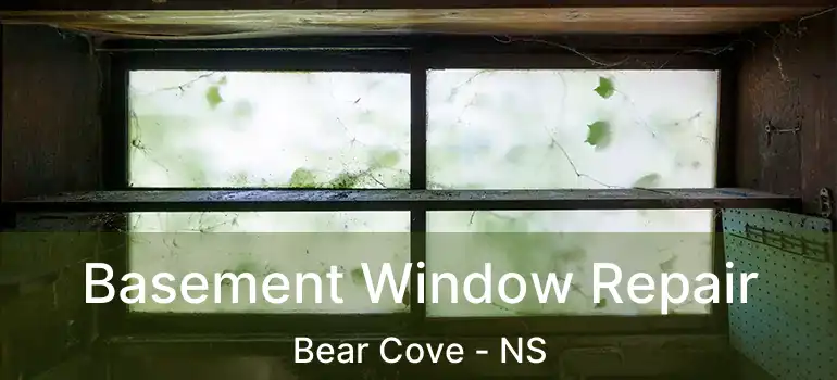  Basement Window Repair Bear Cove - NS