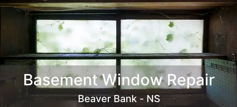  Basement Window Repair Beaver Bank - NS