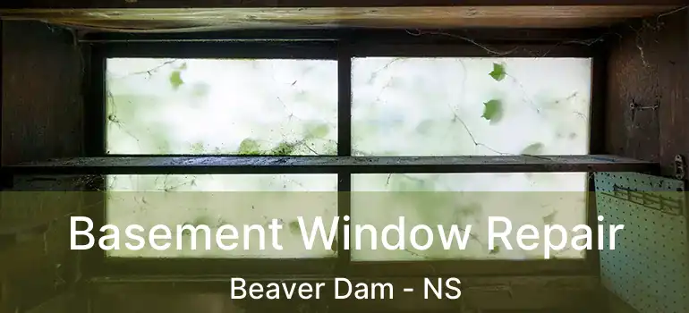  Basement Window Repair Beaver Dam - NS