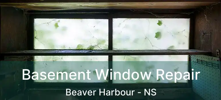  Basement Window Repair Beaver Harbour - NS