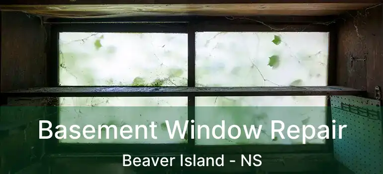  Basement Window Repair Beaver Island - NS