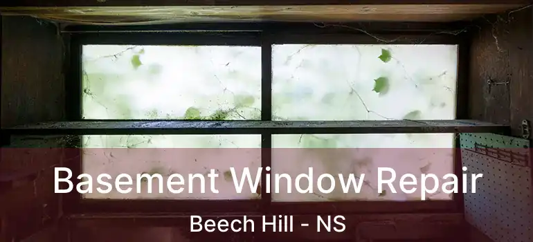  Basement Window Repair Beech Hill - NS