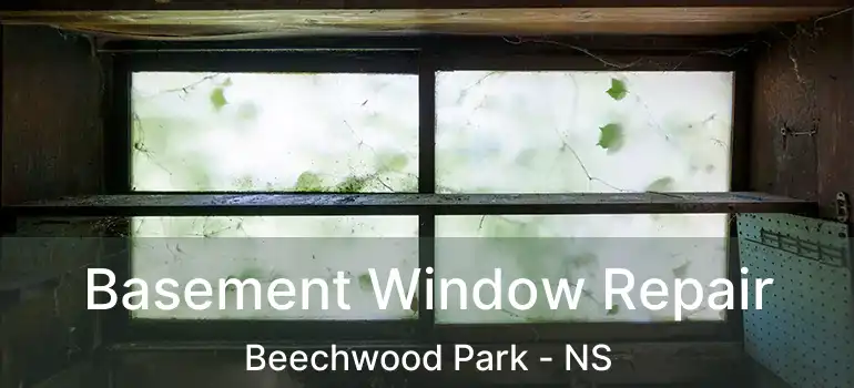  Basement Window Repair Beechwood Park - NS