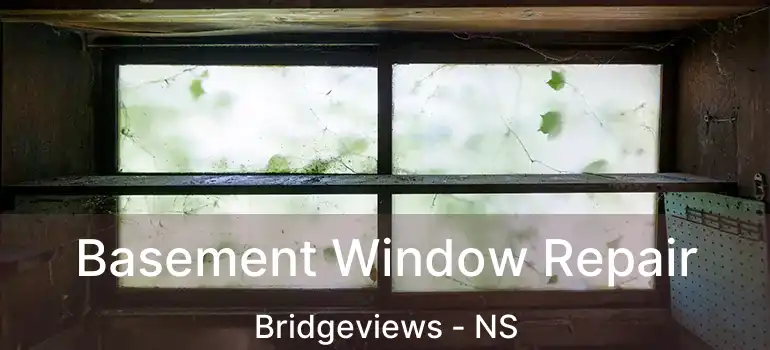  Basement Window Repair Bridgeviews - NS