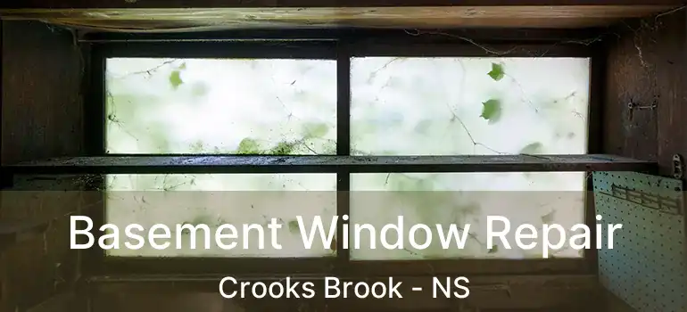  Basement Window Repair Crooks Brook - NS