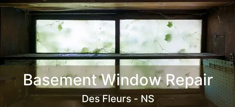  Basement Window Repair Des Fleurs - NS