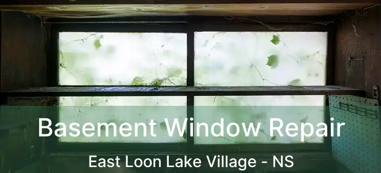  Basement Window Repair East Loon Lake Village - NS