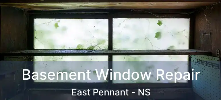  Basement Window Repair East Pennant - NS