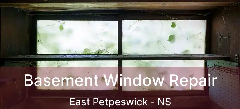  Basement Window Repair East Petpeswick - NS