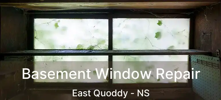  Basement Window Repair East Quoddy - NS