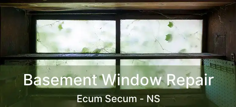  Basement Window Repair Ecum Secum - NS