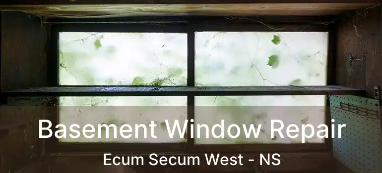  Basement Window Repair Ecum Secum West - NS