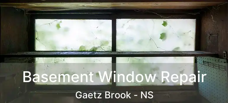  Basement Window Repair Gaetz Brook - NS