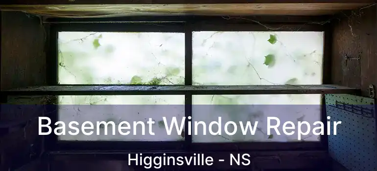  Basement Window Repair Higginsville - NS