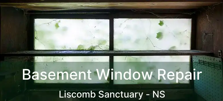  Basement Window Repair Liscomb Sanctuary - NS