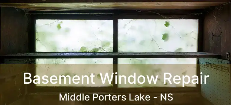  Basement Window Repair Middle Porters Lake - NS