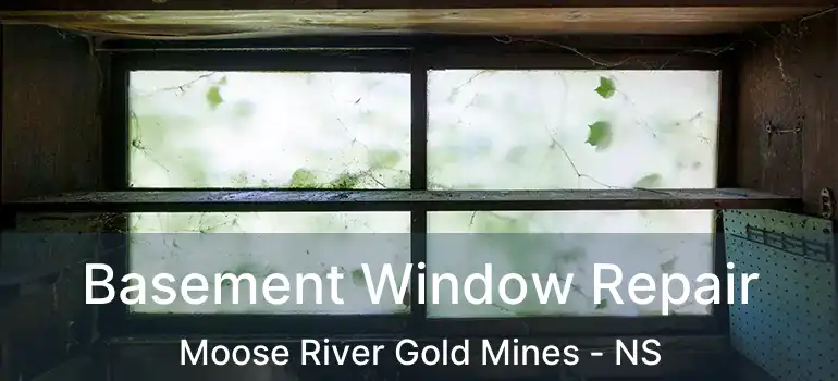  Basement Window Repair Moose River Gold Mines - NS