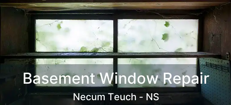  Basement Window Repair Necum Teuch - NS