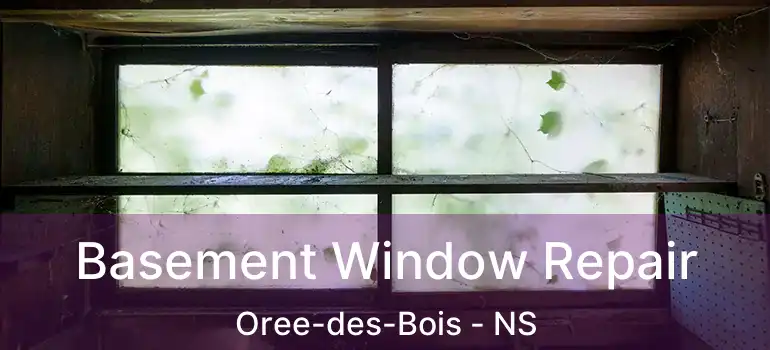  Basement Window Repair Oree-des-Bois - NS