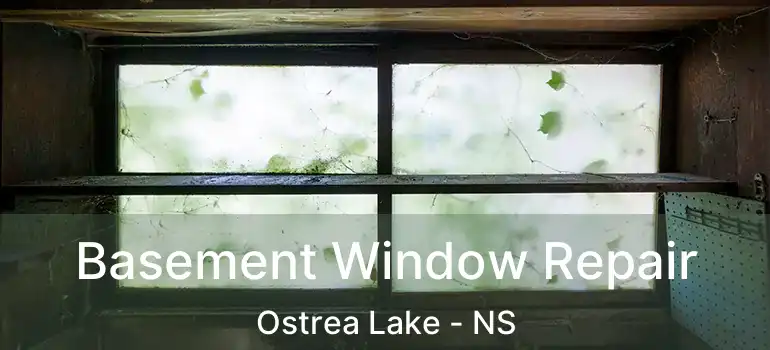  Basement Window Repair Ostrea Lake - NS