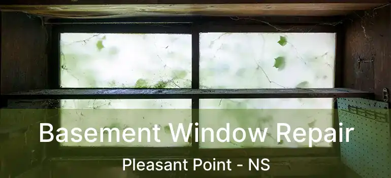  Basement Window Repair Pleasant Point - NS