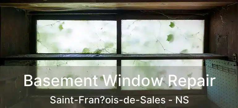  Basement Window Repair Saint-Fran?ois-de-Sales - NS