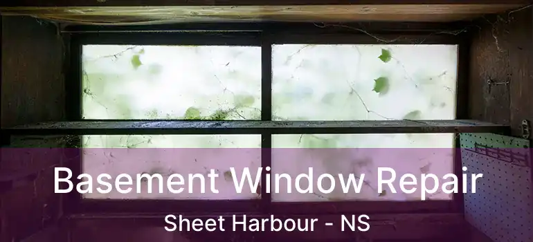  Basement Window Repair Sheet Harbour - NS