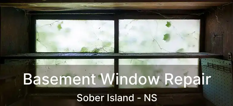  Basement Window Repair Sober Island - NS