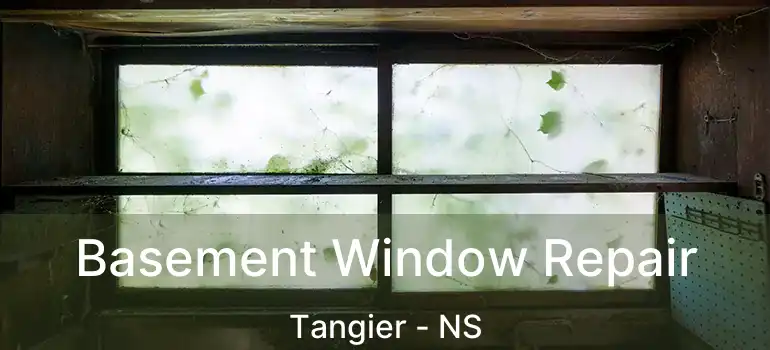  Basement Window Repair Tangier - NS