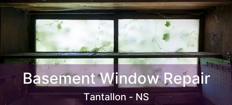  Basement Window Repair Tantallon - NS