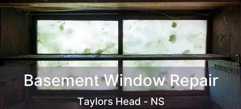  Basement Window Repair Taylors Head - NS