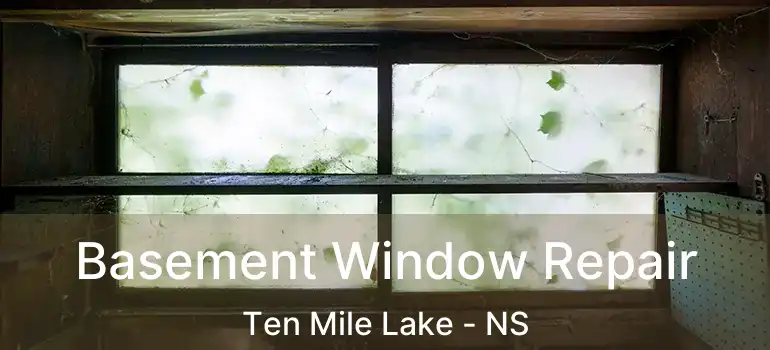  Basement Window Repair Ten Mile Lake - NS