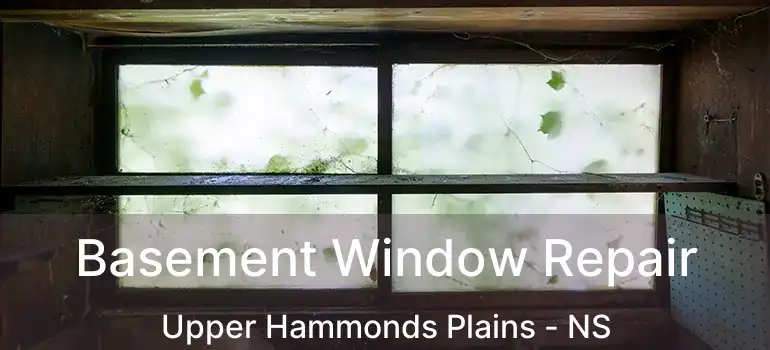  Basement Window Repair Upper Hammonds Plains - NS