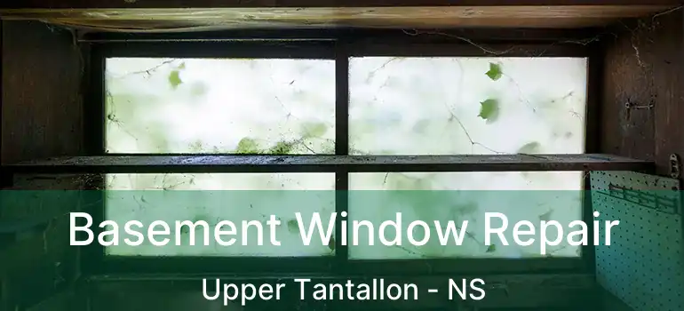  Basement Window Repair Upper Tantallon - NS