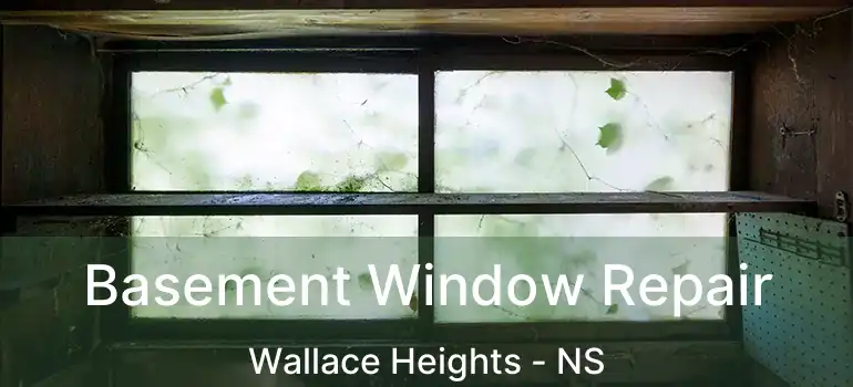  Basement Window Repair Wallace Heights - NS