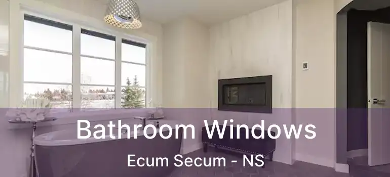  Bathroom Windows Ecum Secum - NS