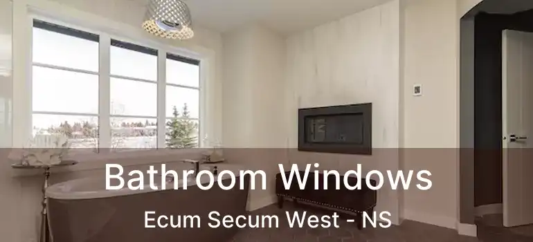  Bathroom Windows Ecum Secum West - NS